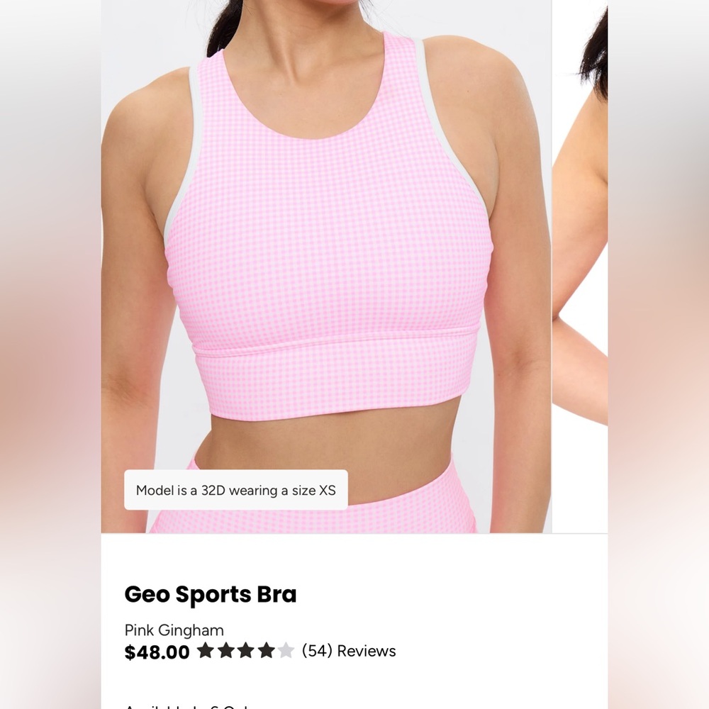 BuffBunny Geo Pink Gingham sports Bra